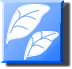 leaf.gif(2491 byte)